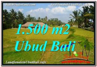 Magnificent PROPERTY 1,500 m2 LAND SALE IN UBUD TEGALALANG TJUB668