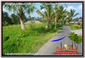 Exotic 1,500 m2 LAND FOR SALE IN UBUD TEGALALANG TJUB668
