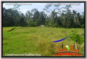 Exotic 1,500 m2 LAND FOR SALE IN UBUD TEGALALANG TJUB668