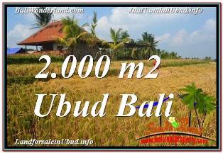 UBUD BALI 2,000 m2 LAND FOR SALE TJUB669