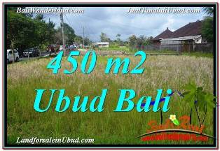 Magnificent 450 m2 LAND IN SENTRAL UBUD FOR SALE TJUB671