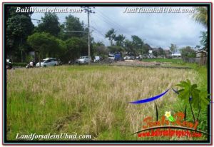 Affordable PROPERTY LAND IN UBUD BALI FOR SALE TJUB671