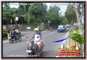 Affordable PROPERTY LAND IN UBUD BALI FOR SALE TJUB671