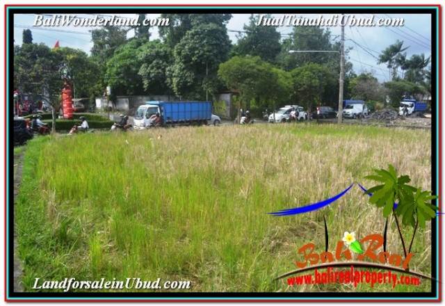 Affordable PROPERTY LAND IN UBUD BALI FOR SALE TJUB671