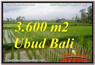 Exotic 3,600 m2 LAND IN UBUD TEGALALANG FOR SALE TJUB673