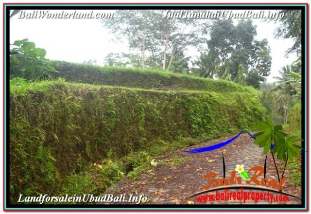 FOR SALE Magnificent PROPERTY LAND IN UBUD BALI TJUB673
