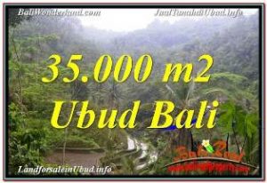 Magnificent PROPERTY LAND FOR SALE IN UBUD TEGALALANG TJUB674