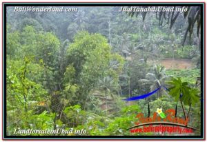 FOR SALE Beautiful PROPERTY 35,000 m2 LAND IN UBUD TEGALALANG BALI TJUB674