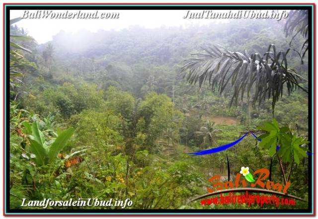 FOR SALE Beautiful PROPERTY 35,000 m2 LAND IN UBUD TEGALALANG BALI TJUB674