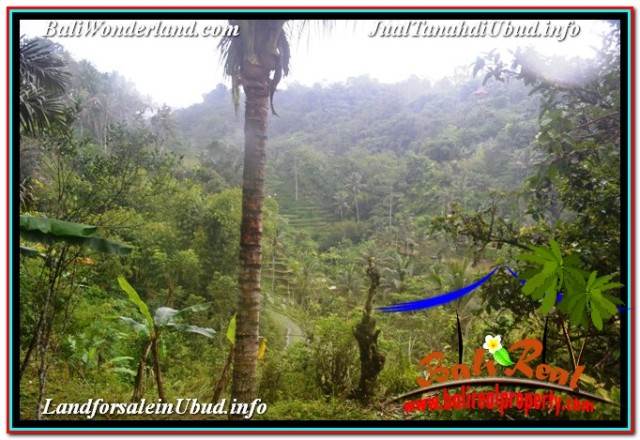 FOR SALE Beautiful PROPERTY 35,000 m2 LAND IN UBUD TEGALALANG BALI TJUB674