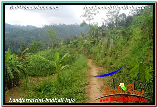 Affordable PROPERTY LAND FOR SALE IN UBUD PAYANGAN TJUB678