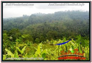 Affordable PROPERTY LAND FOR SALE IN UBUD PAYANGAN TJUB678