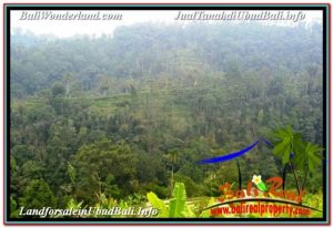 Affordable PROPERTY LAND FOR SALE IN UBUD PAYANGAN TJUB678