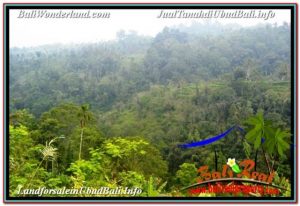 Affordable PROPERTY LAND FOR SALE IN UBUD PAYANGAN TJUB678