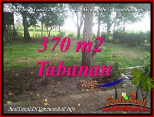 Beautiful PROPERTY TABANAN BALI LAND FOR SALE TJTB383