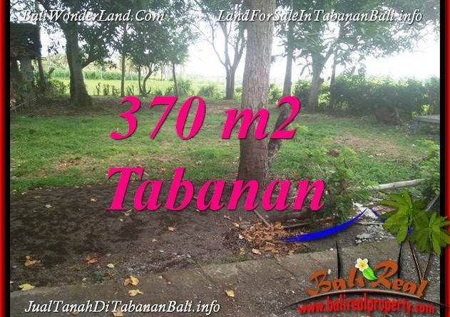 Beautiful PROPERTY TABANAN BALI LAND FOR SALE TJTB383