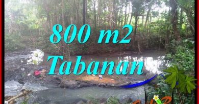 Magnificent PROPERTY 800 m2 LAND FOR SALE IN TABANAN TJTB384" Located in SINGIN SELEMADEG, TABANAN SELEMADEG this affordable 800 sqm LAND FOR SALE IN TABANAN featuring Unbelievable RIVER VIEW AND RICE FIELD VIEW, perfect for PRIVATE HOUSE / COMMERCIAL VILLA, great for PROPERTY INVESTMENT IN BALI, Indonesia Please see Below the specs and the feature of this Excellent 800 m2 LAND SALE IN TABANAN TJTB384 • Listing Title : FOR SALE Amazing 800 m2 LAND IN TABANAN SELEMADEG BALI TJTB384 • PROPERTY Code : TJTB384 - PROPERTY Type : LAND for SALE • Location : SINGIN SELEMADEG, TABANAN SELEMADEG Bali 15 MNTS TO BALIAN BEACH, 10 MNTS TO SOKA BEACH • LAND Size : 8 Ares ( 800 m2 ) • LAND view / settings : Interesting RIVER VIEW AND RICE FIELD VIEW • LAND Contour : MIXED FLANT AND SLOPING LAND - Condition : GARDEN • LAND Shape : RACTANGURAR SHAPE WITH 15 MTR WIDE LAND FRONTAGE - Access : 4 MTR WIDE ASPHALTED ACCESS • Property Title : Freehold ( Certificate of ownership ) • Asking Price : USD 43 / m2 ( USD 4,286 / are ) • Total Price : USD 34,286 ***** [slickr-flickr tag=""TJTB384""] This Exotic 800 m2 LAND for SALE in BALI is the most Excellent LAND FOR SALE IN TABANAN BALI, an Extraordinary PROPERTY for SALE in TABANAN BALI. Presenting RIVER VIEW AND RICE FIELD VIEW this Amazing block of LAND in TABANAN is one of our featured LAND SALE in TABANAN BALI listed on our TABANAN PROPERTY listings. Strategically situated in SINGIN SELEMADEG, TABANAN SELEMADEG BALI, this Unbelievable RIVER VIEW AND RICE FIELD VIEW LAND in TABANAN BALI for SALE is suitable for PRIVATE HOUSE / COMMERCIAL VILLA. Very Reasonable price USD 43 / m2 which considered very cheap among other TABANAN LAND for SALE this Amazing LAND in BALI for SALE in TABANAN is a good opportunity for PROPERTY INVESTMENT in BALI Indonesia. Below are the specs and the features of this Inexpensive 800 m2 Attractive view LAND for SALE in BALI https://www.youtube.com/watch?v=X2zqv1H1MXM This Excellent 800 m2 LAND FOR SALE IN TABANAN TJTB384 is also listed on : 1. www.BALIREALPROPERTY.COM 2. www.LANDFORSALEINBALI.COM 3. www.BALIREALPROPERTY.COM 4. www.BALIVILLANDSALE.COM 5. www.LANDFORSALEINTABANANBALI.com 6. www.LANDFORSALEINBALI.COM 7. www.PROPERTYFORSALEINBALI.COM 8. www.LANDFORSALEINBALI.COM 9. www.propertyforsaleinbaliland.com BALI PROPERTY Search Term : 1. Excellent PROPERTY LAND FOR SALE IN TABANAN SELEMADEG TJTB384 2. 800 m2 LAND IN TABANAN SELEMADEG FOR SALE TJTB384 3. Affordable TABANAN SELEMADEG 800 m2 LAND FOR SALE TJTB384 4. Amazing 800 m2 LAND SALE IN TABANAN SELEMADEG TJTB384 5. Excellent 800 m2 LAND FOR SALE IN TABANAN SELEMADEG BALI TJTB384 6. Affordable PROPERTY 800 m2 LAND IN TABANAN SELEMADEG BALI FOR SALE TJTB384 7. Amazing PROPERTY TABANAN SELEMADEG BALI 800 m2 LAND FOR SALE TJTB384 8. Interesting PROPERTY 800 m2 LAND SALE IN TABANAN SELEMADEG BALI TJTB384 9. FOR SALE Affordable LAND IN TABANAN TJTB384 10. Amazing LAND FOR SALE IN TABANAN BALI TJTB384 "
