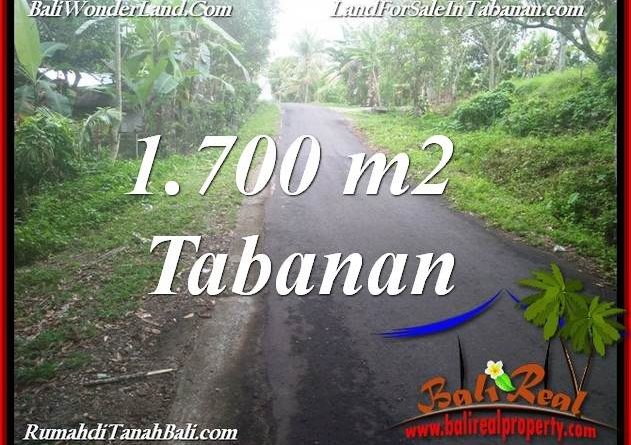Beautiful PROPERTY TABANAN SELEMADEG BALI 1,700 m2 LAND FOR SALE TJTB385