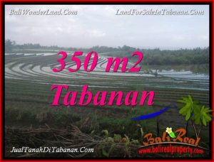 FOR SALE Beautiful LAND IN TABANAN BALI TJTB386