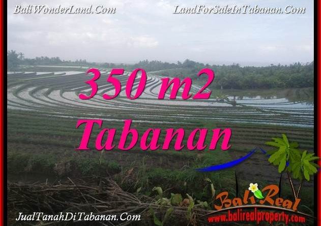 FOR SALE Beautiful LAND IN TABANAN BALI TJTB386