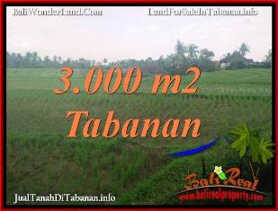 Beautiful PROPERTY 3,000 m2 LAND FOR SALE IN TABANAN BALI TJTB389
