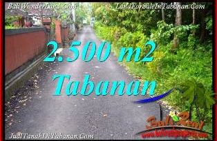 Beautiful 2,500 m2 LAND FOR SALE IN TABANAN TJTB391