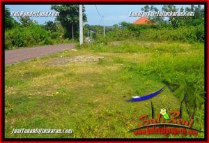 Affordable LAND IN JIMBARAN BALI FOR SALE TJJI127