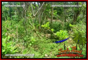 Exotic JIMBARAN ULUWATU BALI 1,200 m2 LAND FOR SALE TJJI128A