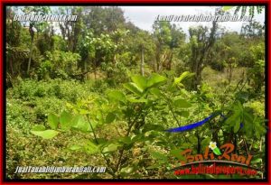 Exotic JIMBARAN ULUWATU BALI 1,200 m2 LAND FOR SALE TJJI128A