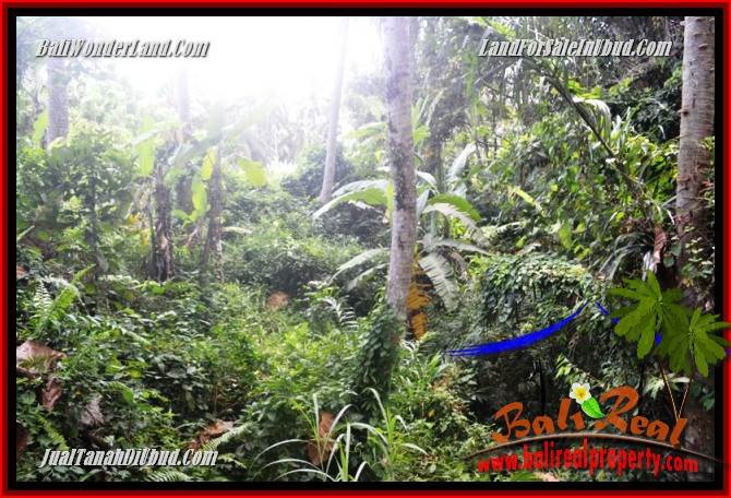 Affordable Property 840 m2 Land in Lod Tunduh for sale TJUB685