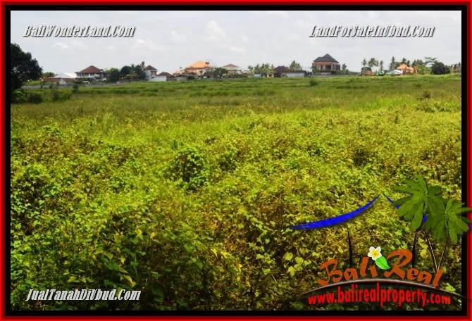 Affordable Property 840 m2 Land in Lod Tunduh for sale TJUB685