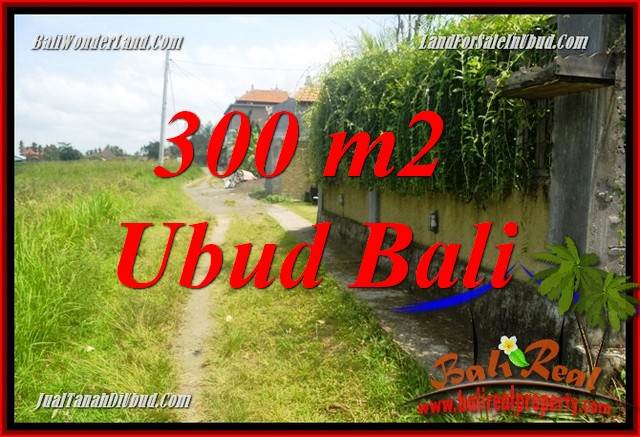 Magnificent Property Land for sale in Ubud Bali TJUB687
