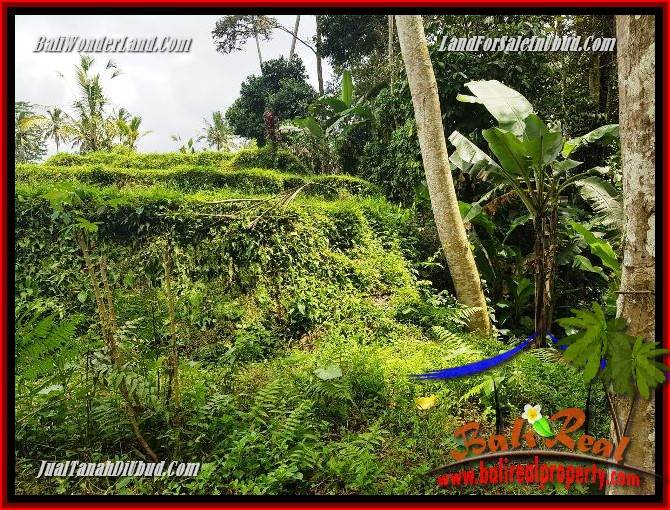 Exotic Property 860 m2 Land sale in Ubud Tegalalang TJUB691