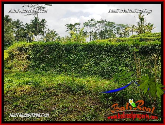 Exotic Property 860 m2 Land sale in Ubud Tegalalang TJUB691