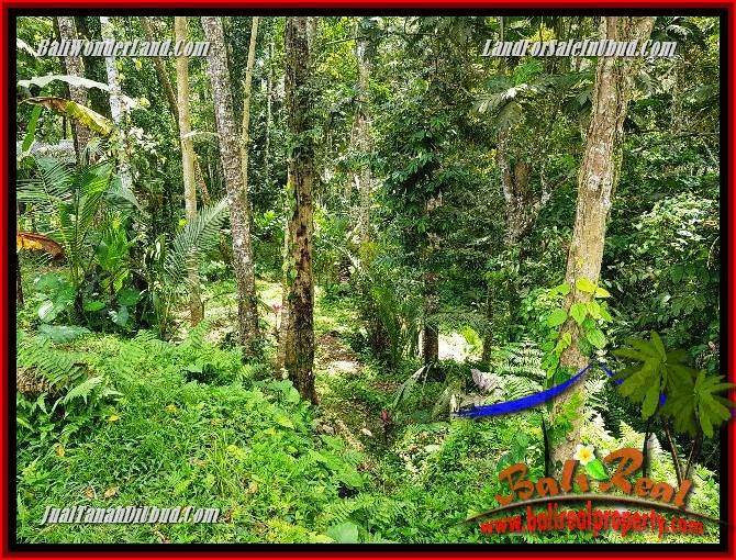 Exotic Property 860 m2 Land sale in Ubud Tegalalang TJUB691