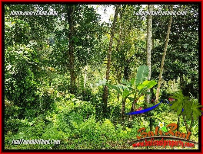 Exotic Property 860 m2 Land sale in Ubud Tegalalang TJUB691