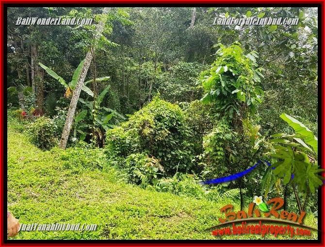 Exotic Property 860 m2 Land sale in Ubud Tegalalang TJUB691