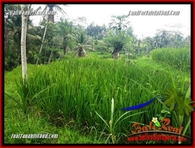 Exotic Property Land for sale in Ubud Bali TJUB696