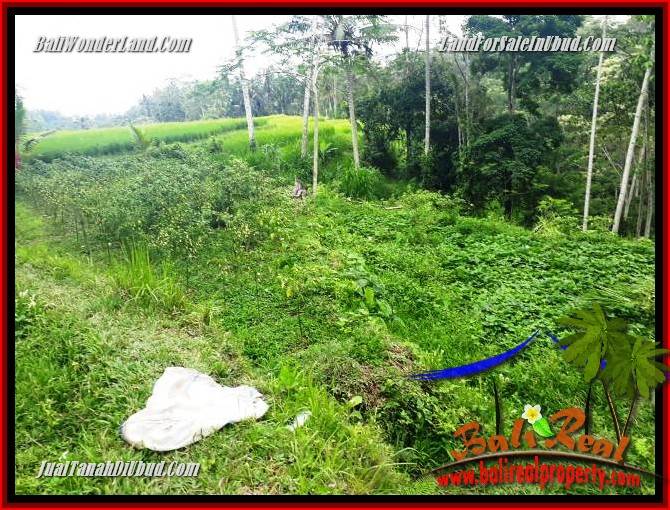 Exotic Property Land for sale in Ubud Bali TJUB696