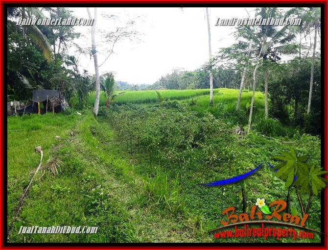 Exotic Property Land for sale in Ubud Bali TJUB696