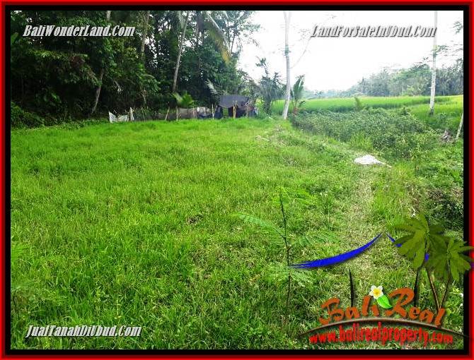 Exotic Property Land for sale in Ubud Bali TJUB696