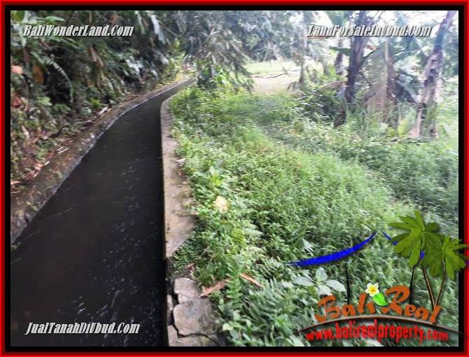 Exotic Property Land for sale in Ubud Bali TJUB696