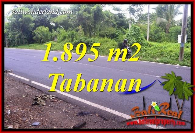 Magnificent Property 1,895 m2 Land for sale in Tabanan Selemadeg Bali TJTB399