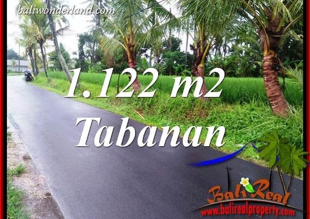 FOR sale Exotic Land in Tabanan Kerambitan Bali TJTB404