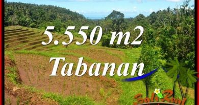 Exotic Property 5,550 m2 Land for sale in Tabanan Selemadeg TJTB405