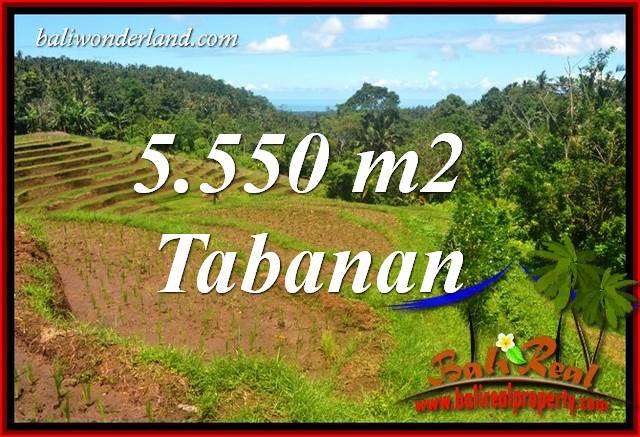 Exotic Property 5,550 m2 Land for sale in Tabanan Selemadeg TJTB405