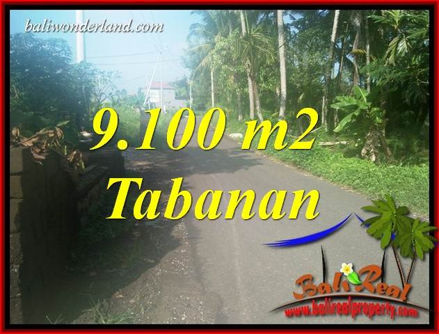 Land sale in Tabanan Kerambitan Bali TJTB407