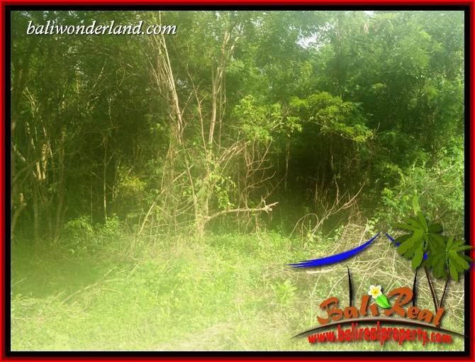 Land sale in Tabanan Kerambitan Bali TJTB407