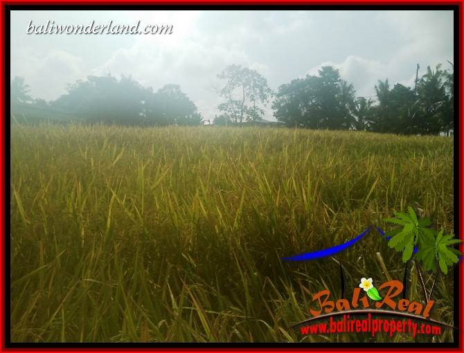 Land sale in Tabanan Kerambitan Bali TJTB407