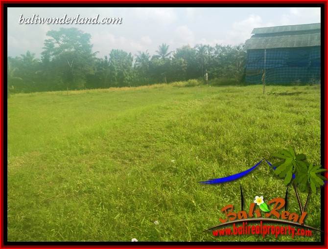 Land sale in Tabanan Kerambitan Bali TJTB407